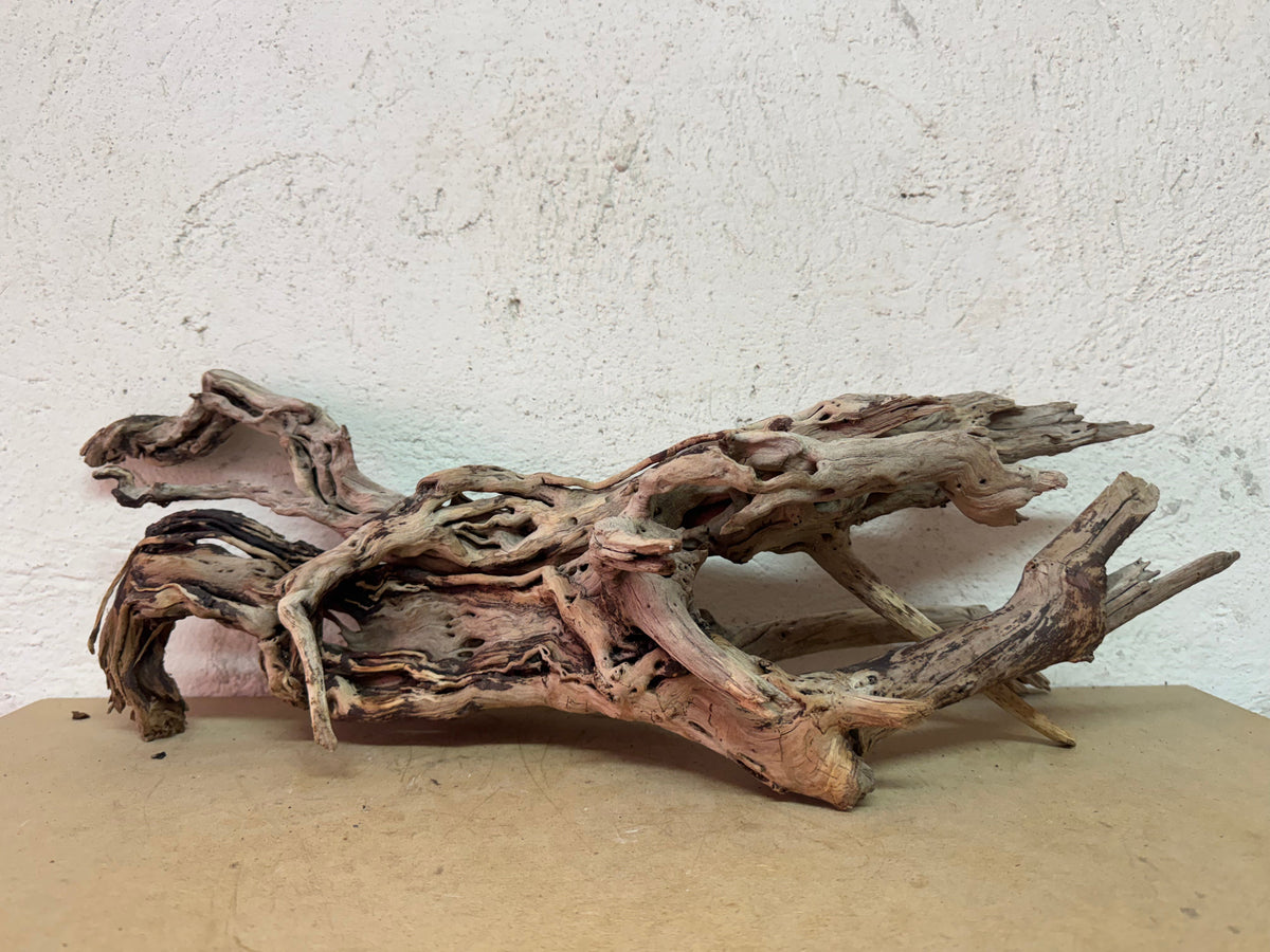 Drift Wood - 60*29*20 - cod.132 WHIMAR