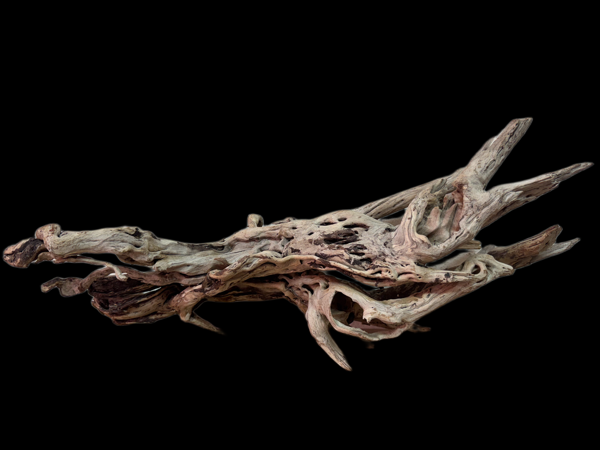 Drift Wood - 60*29*20 - cod.132 WHIMAR