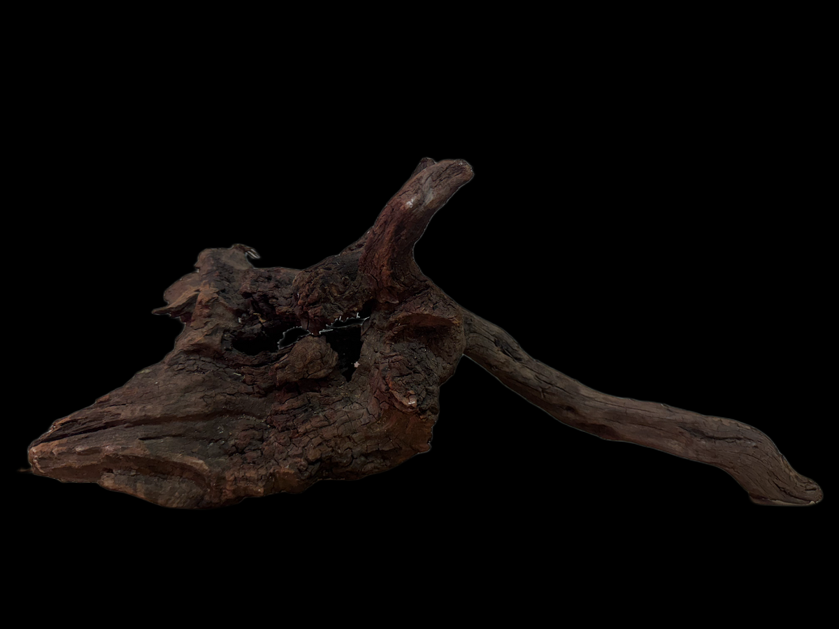 Drift Wood - 42*14*20 - cod.133 WHIMAR