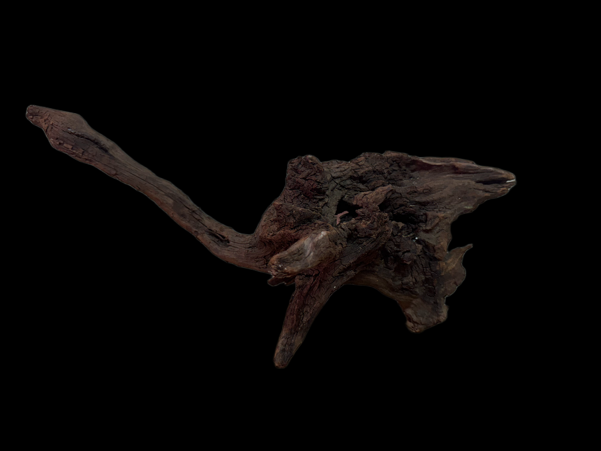 Drift Wood - 42*14*20 - cod.133 WHIMAR