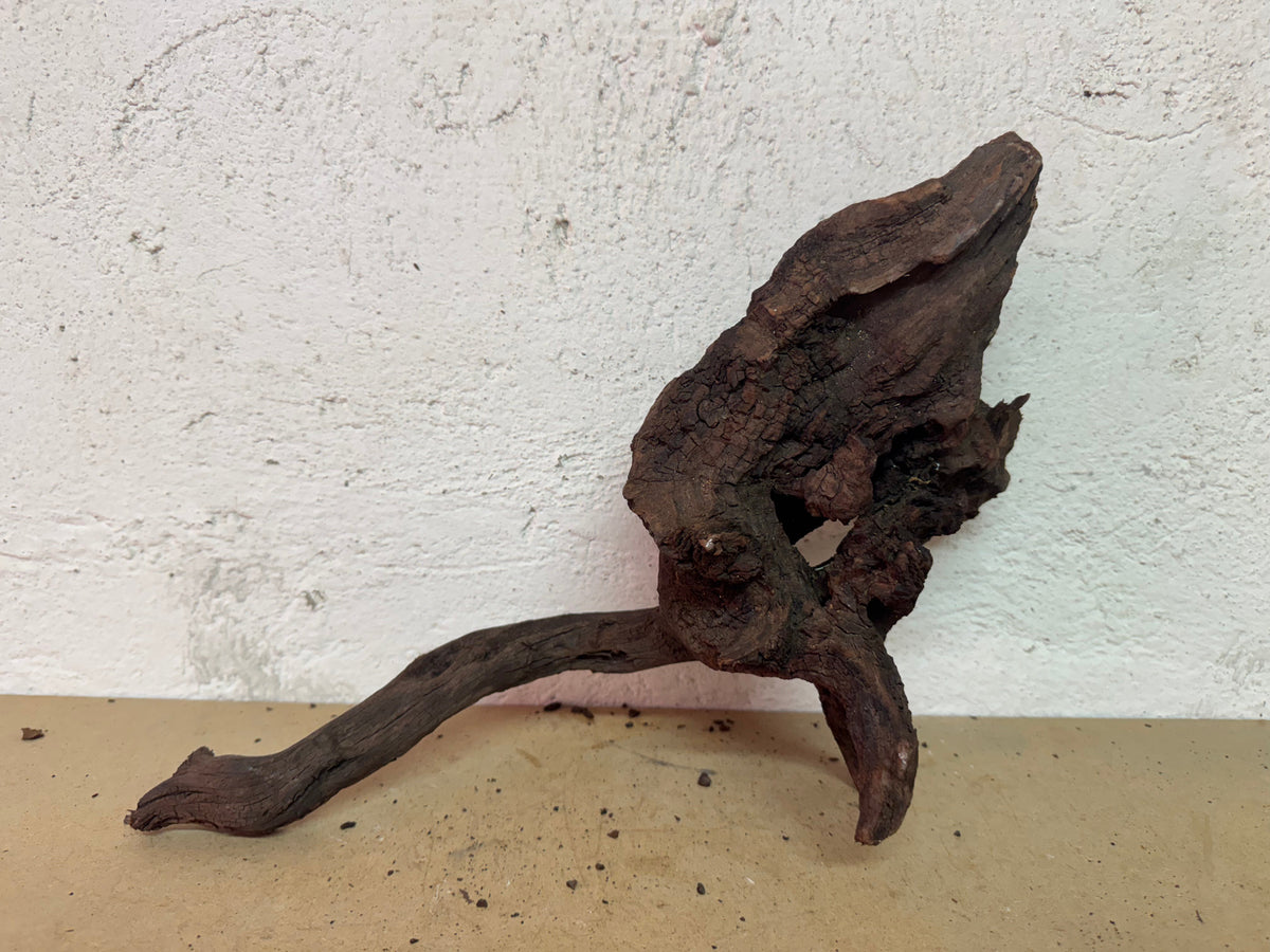 Drift Wood - 42*14*20 - cod.133 WHIMAR