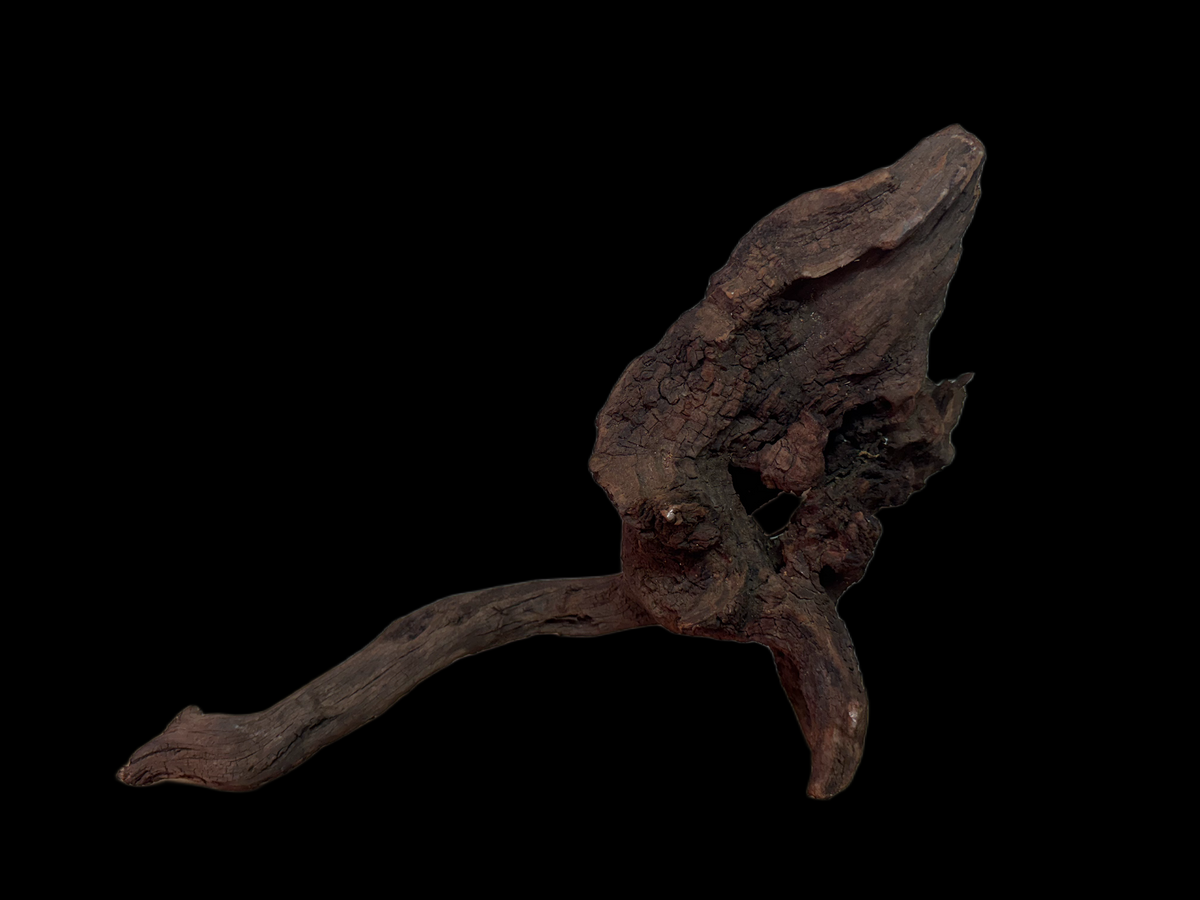 Drift Wood - 42*14*20 - cod.133 WHIMAR