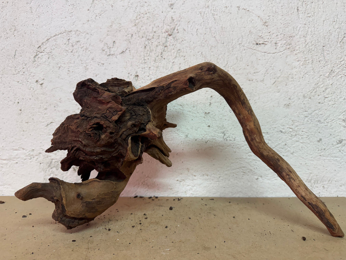 Drift Wood - 33*25*31 - cod.134 WHIMAR