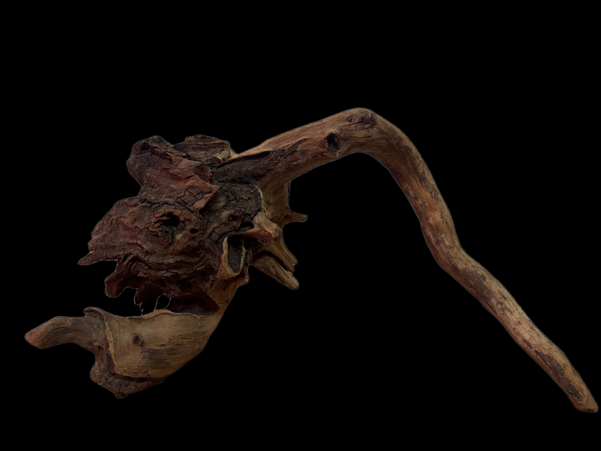 Drift Wood - 33*25*31 - cod.134 WHIMAR