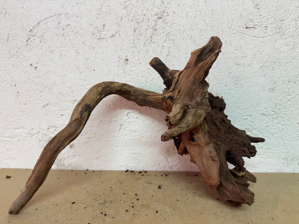 Drift Wood - 33*25*31 - cod.134 WHIMAR