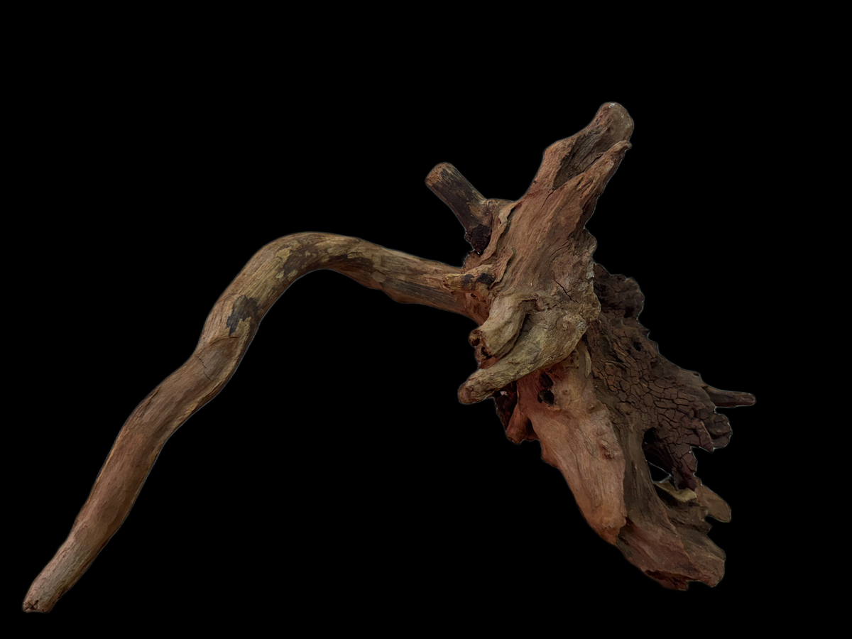 Drift Wood - 33*25*31 - cod.134 WHIMAR