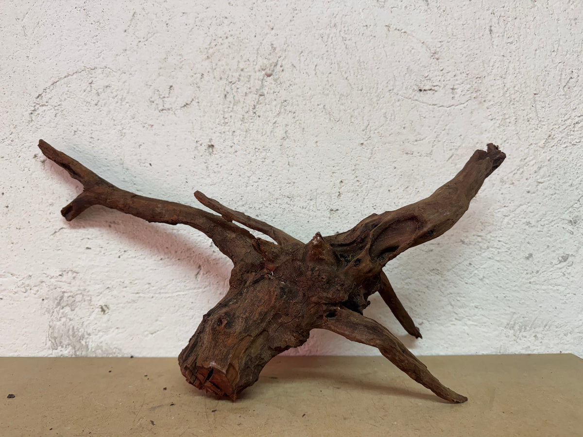 Drift Wood - 49*15*24 - cod.135 WHIMAR