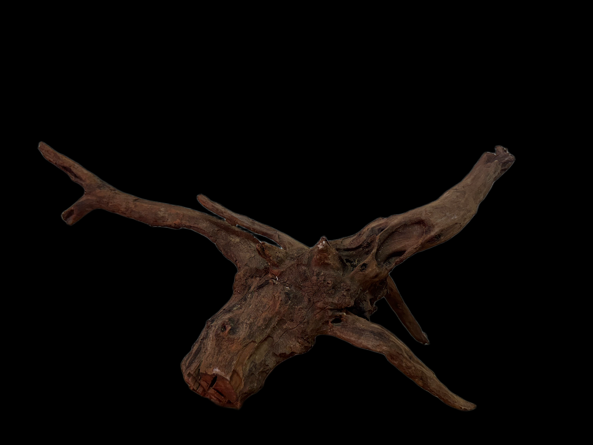 Drift Wood - 49*15*24 - cod.135 WHIMAR