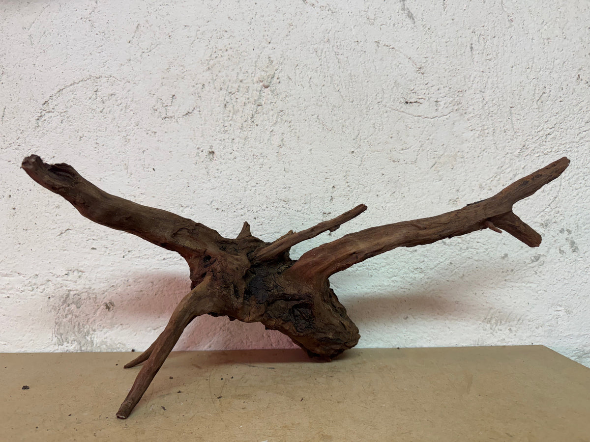 Drift Wood - 49*15*24 - cod.135 WHIMAR
