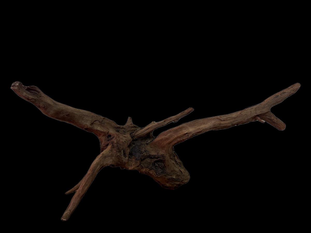 Drift Wood - 49*15*24 - cod.135 WHIMAR