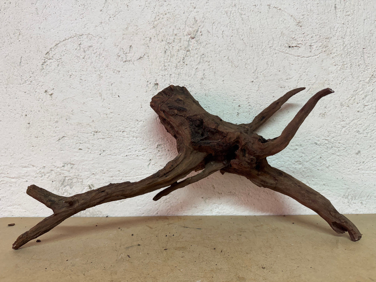 Drift Wood - 49*15*24 - cod.135 WHIMAR