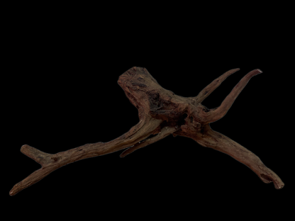 Drift Wood - 49*15*24 - cod.135 WHIMAR