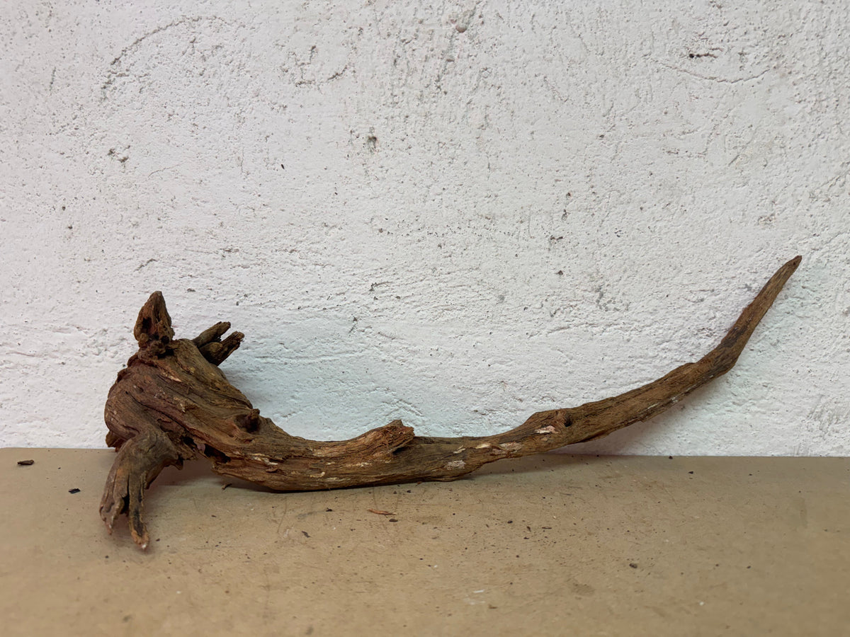 Drift Wood - 51*18*15 - cod.136 WHIMAR