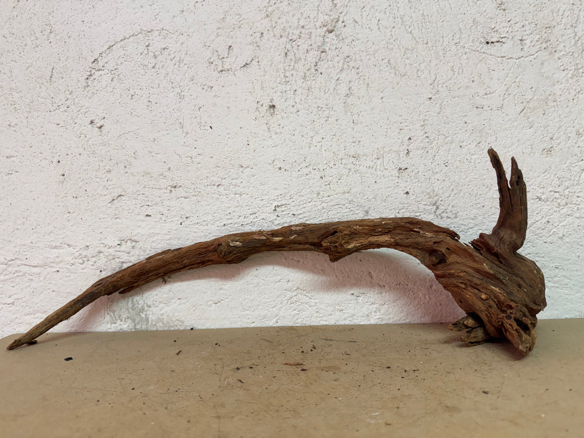 Drift Wood - 51*18*15 - cod.136 WHIMAR