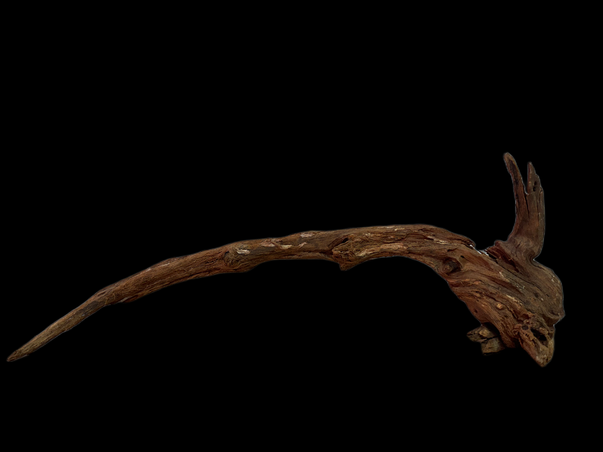 Drift Wood - 51*18*15 - cod.136 WHIMAR