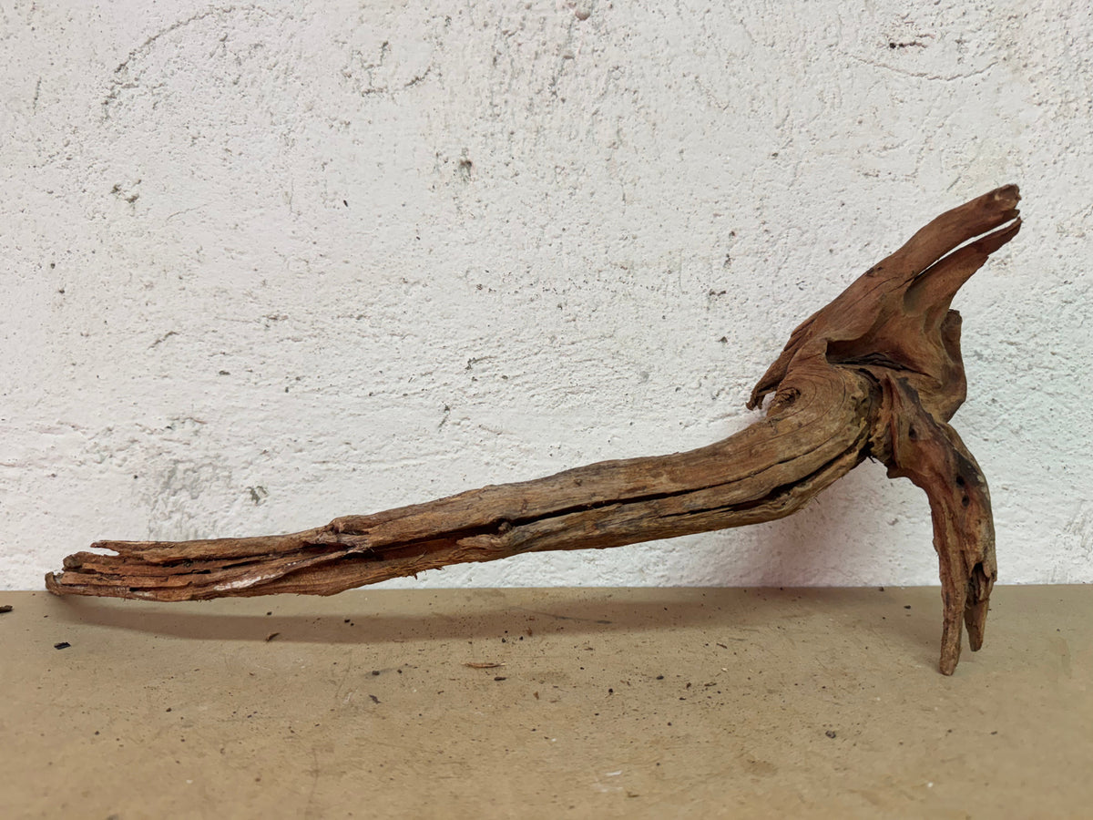 Drift Wood - 51*18*15 - cod.136 WHIMAR