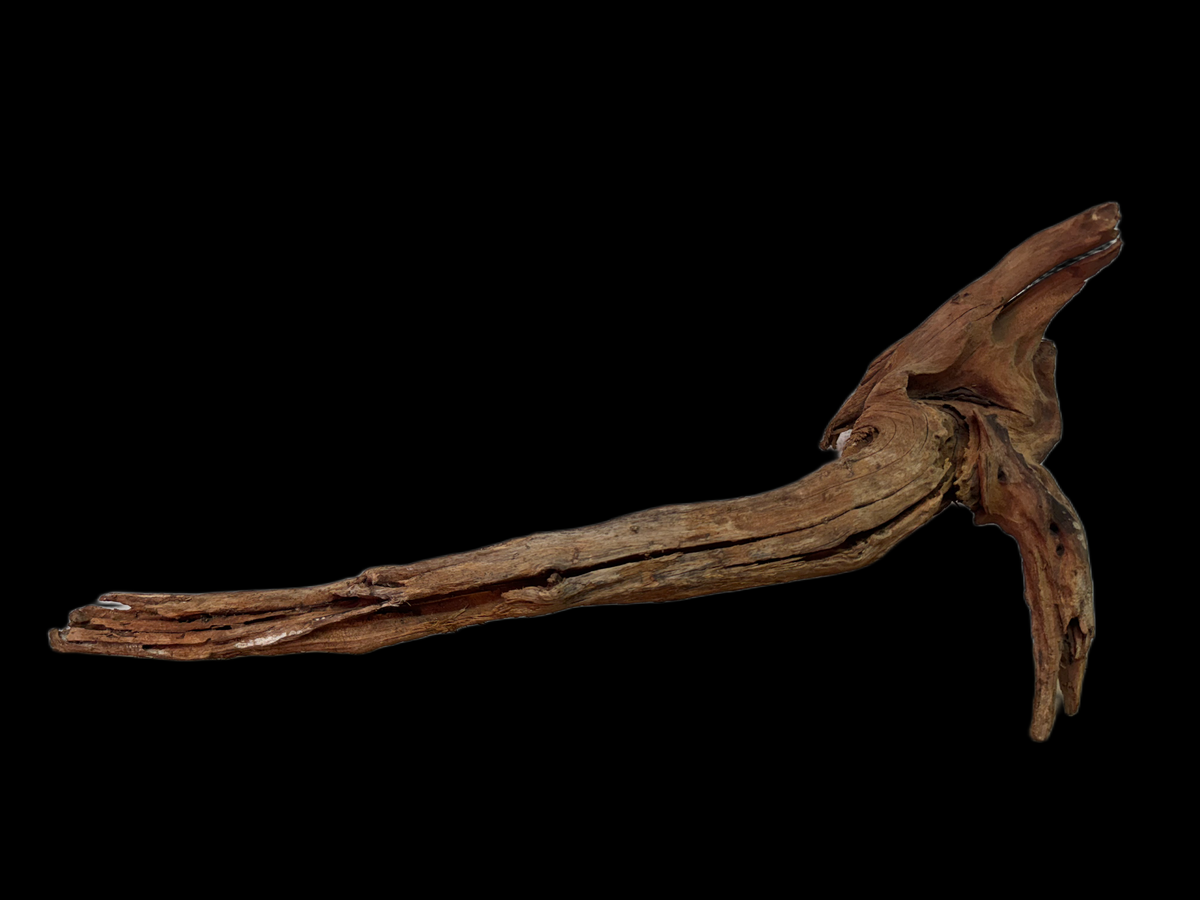 Drift Wood - 51*18*15 - cod.136 WHIMAR