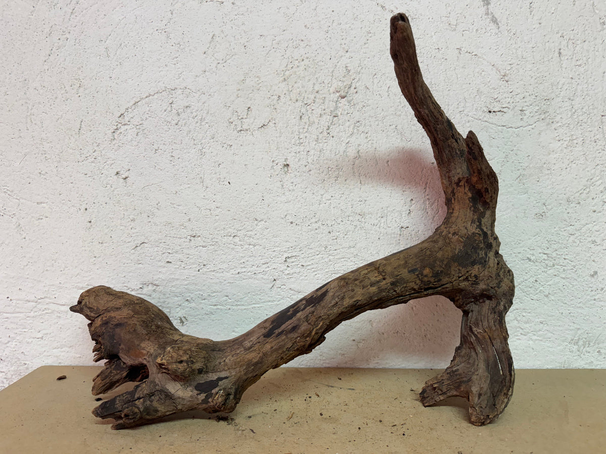 Drift Wood - 45*16*26 - cod.137 WHIMAR