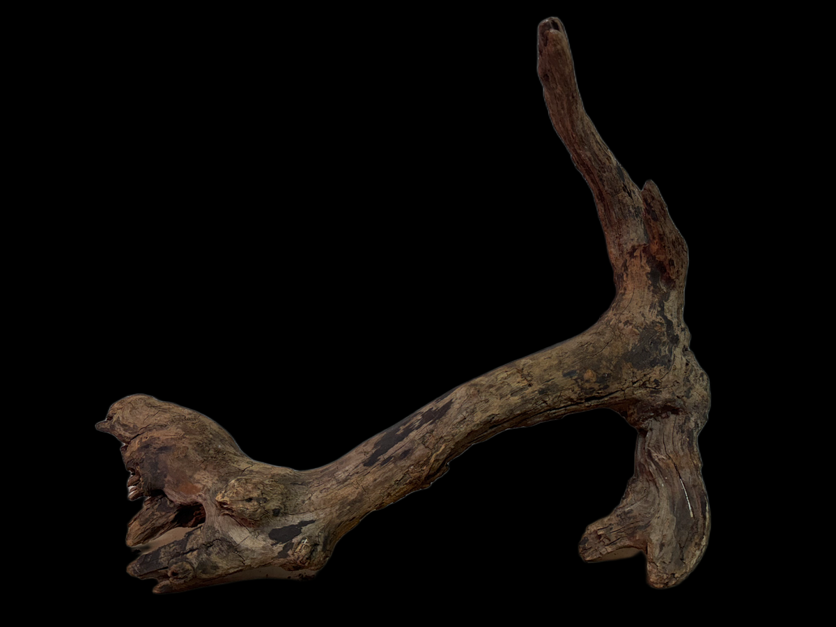 Drift Wood - 45*16*26 - cod.137 WHIMAR