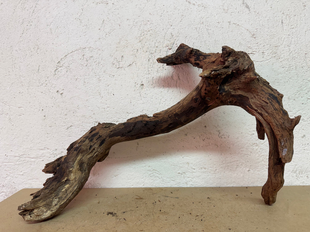 Drift Wood - 45*16*26 - cod.137 WHIMAR