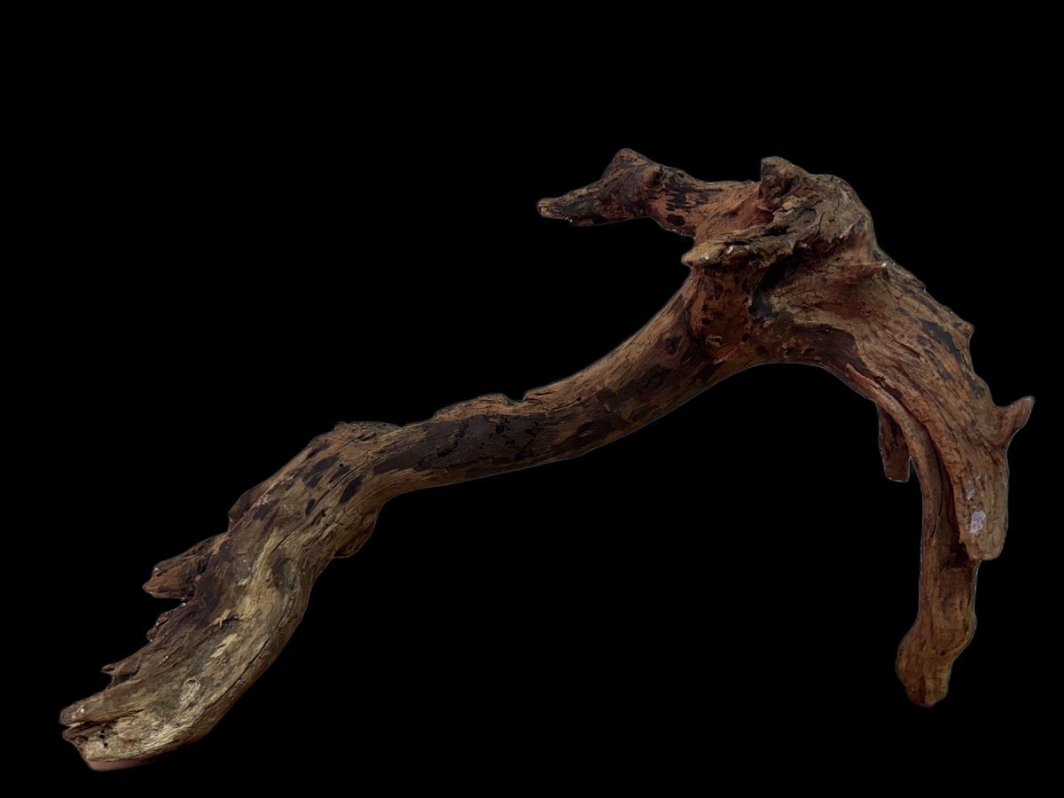 Drift Wood - 45*16*26 - cod.137 WHIMAR