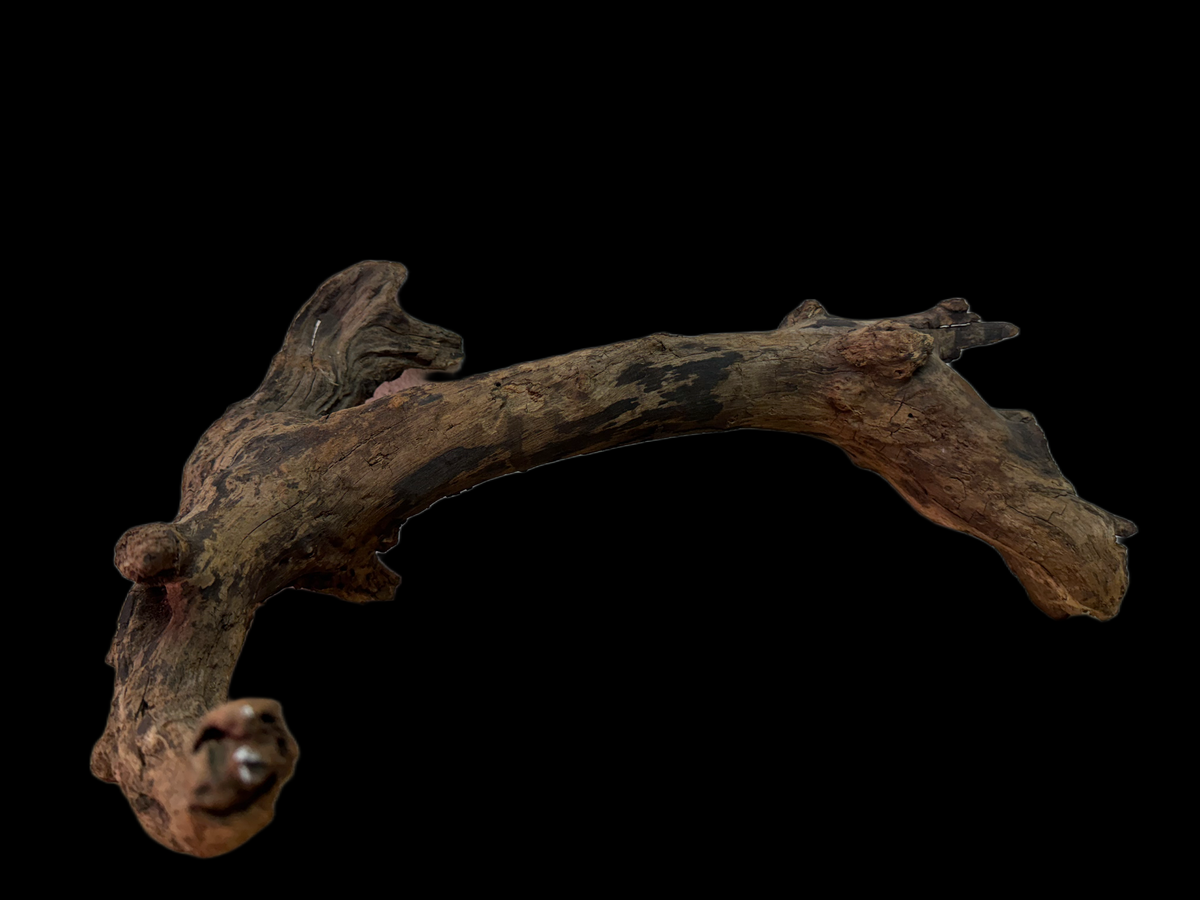 Drift Wood - 45*16*26 - cod.137 WHIMAR