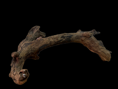 Drift Wood - 45*16*26 - cod.137 WHIMAR