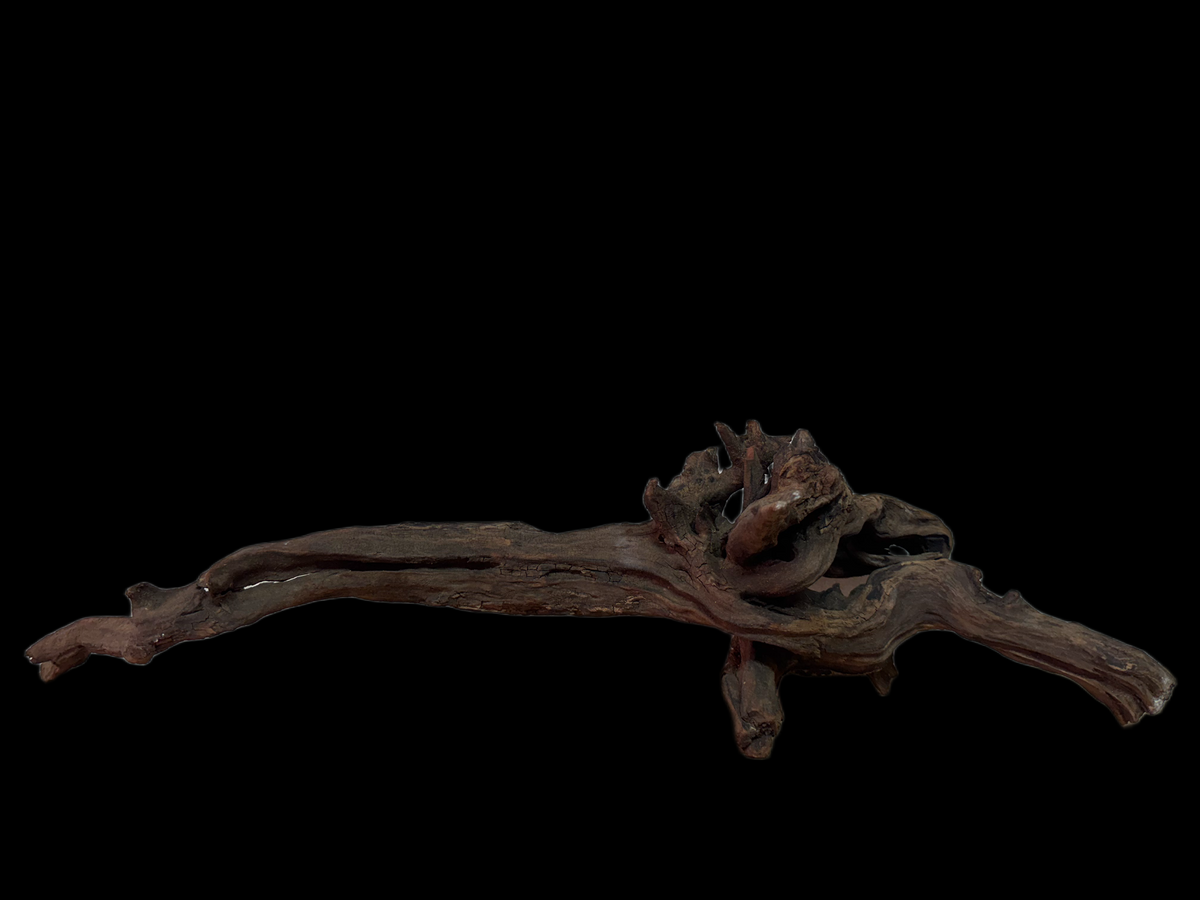 Drift Wood - 62*17*14 - cod.138 WHIMAR
