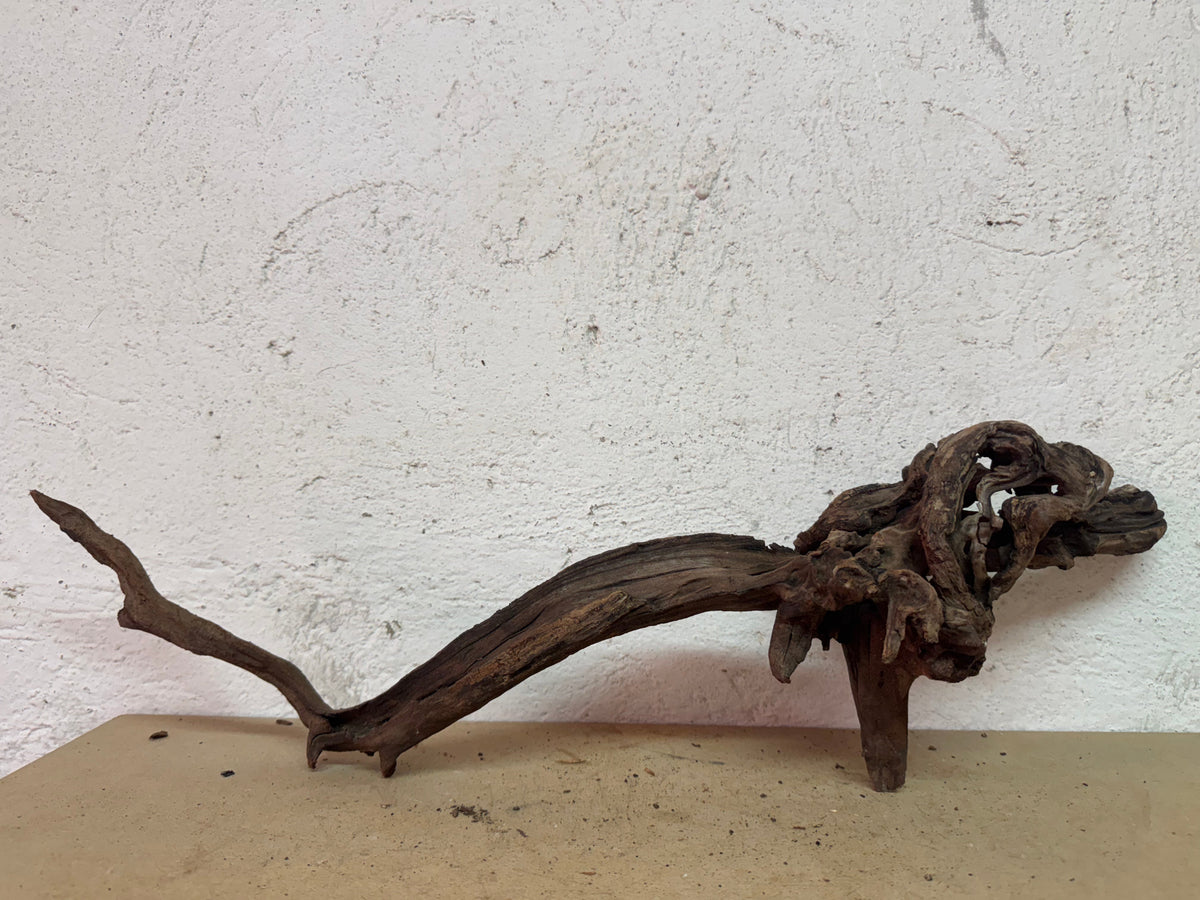 Drift Wood - 62*17*14 - cod.138 WHIMAR