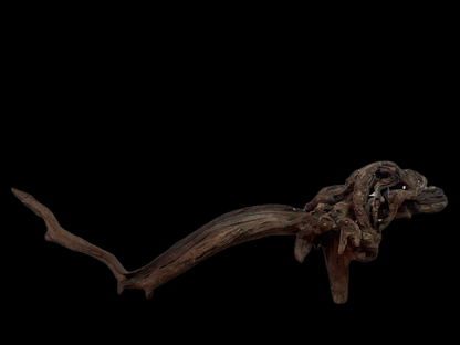 Drift Wood - 62*17*14 - cod.138 WHIMAR
