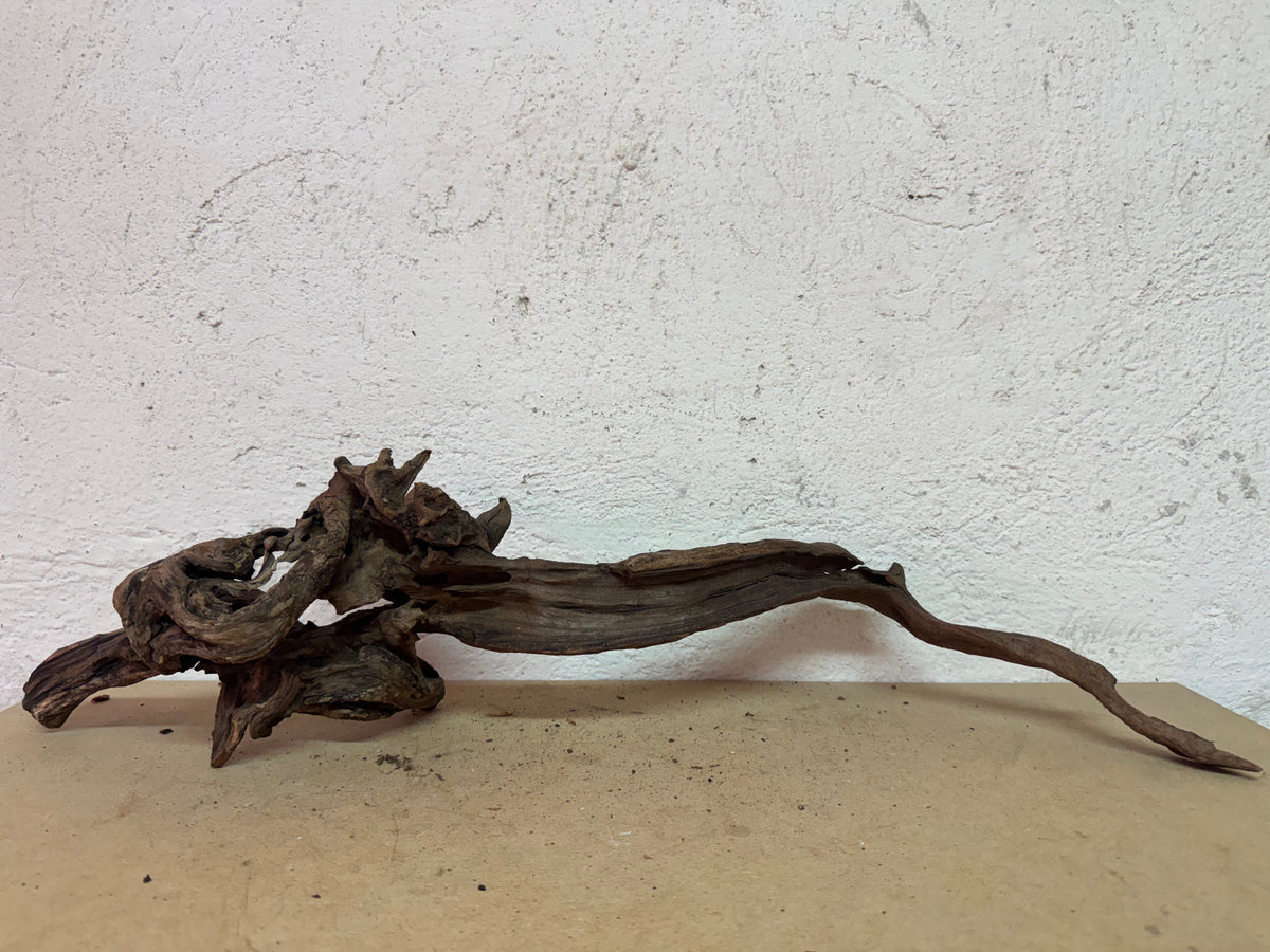 Drift Wood - 62*17*14 - cod.138 WHIMAR