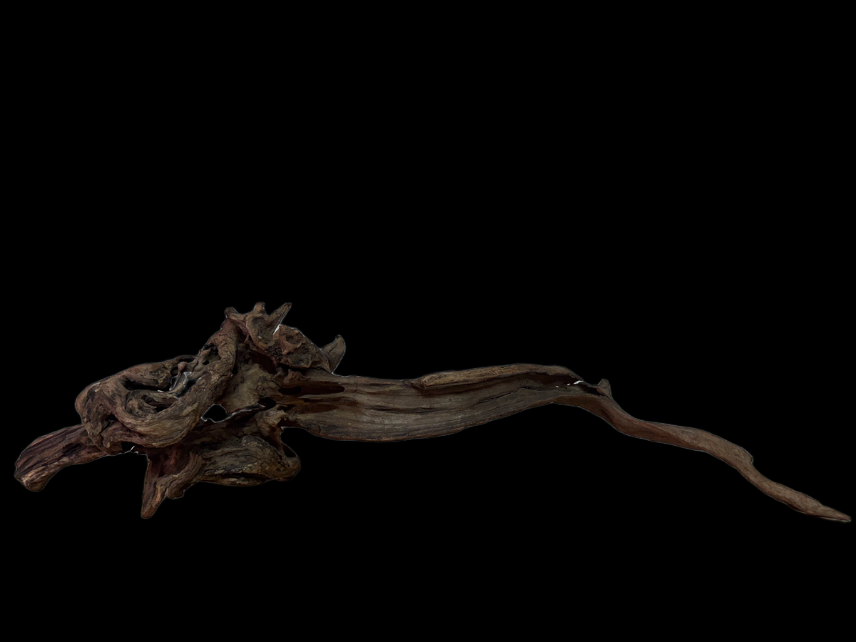 Drift Wood - 62*17*14 - cod.138 WHIMAR