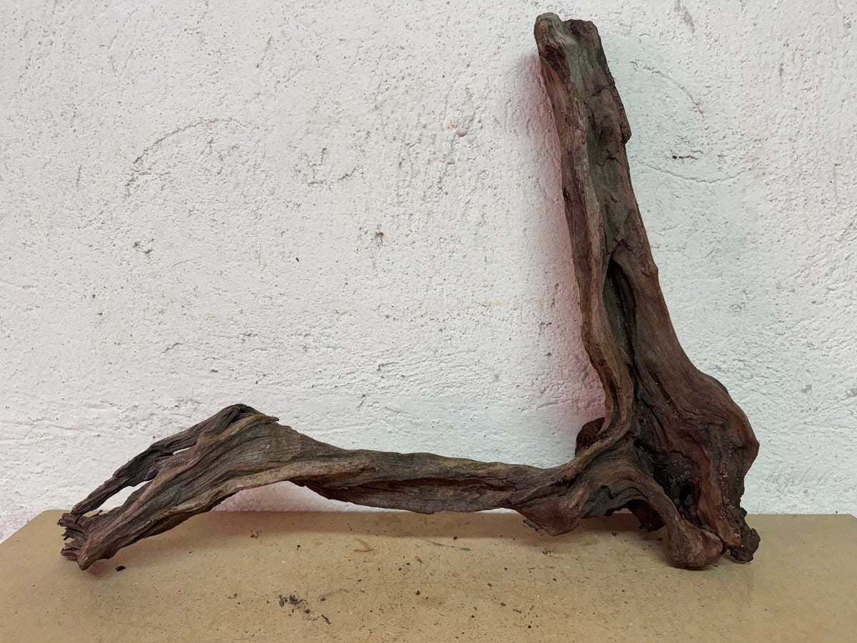 Drift Wood - 52*13*39 - cod.139 WHIMAR