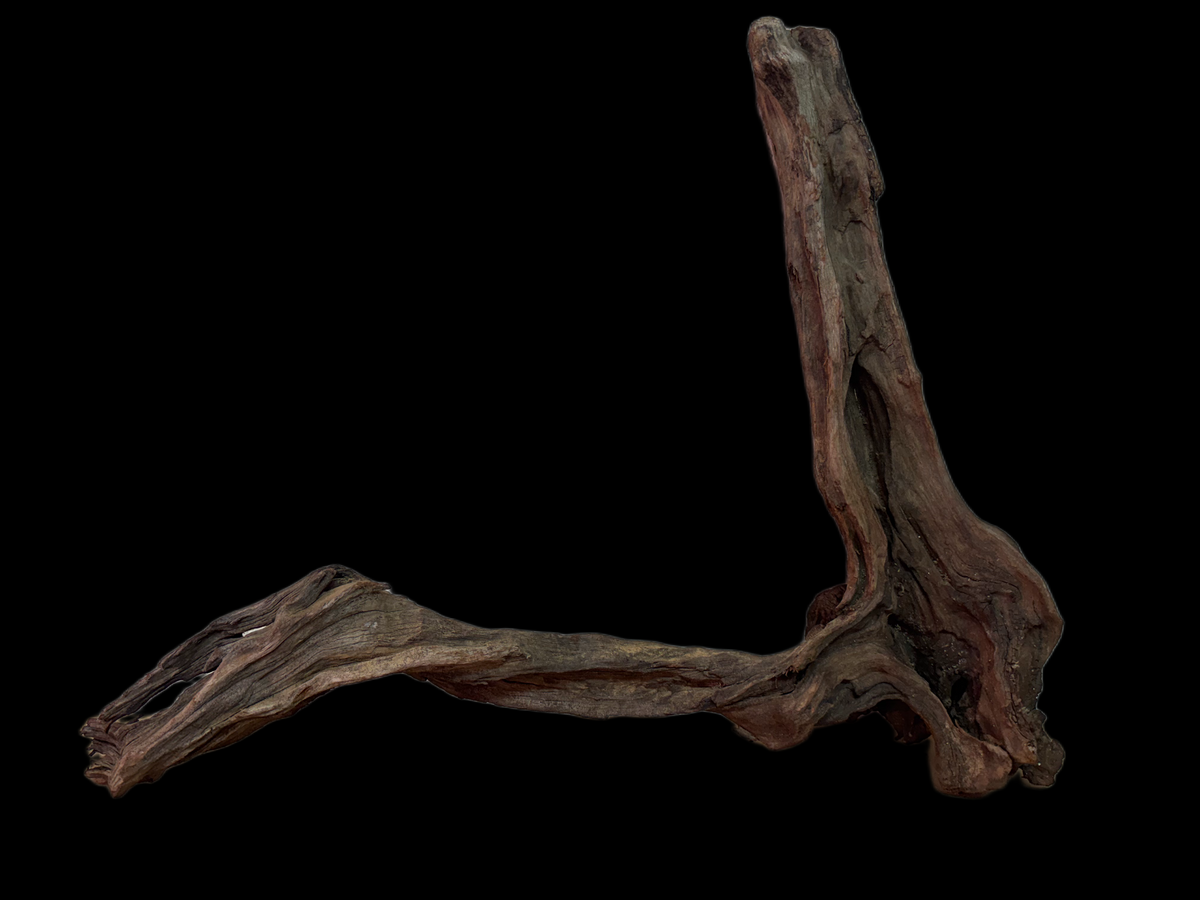 Drift Wood - 52*13*39 - cod.139 WHIMAR