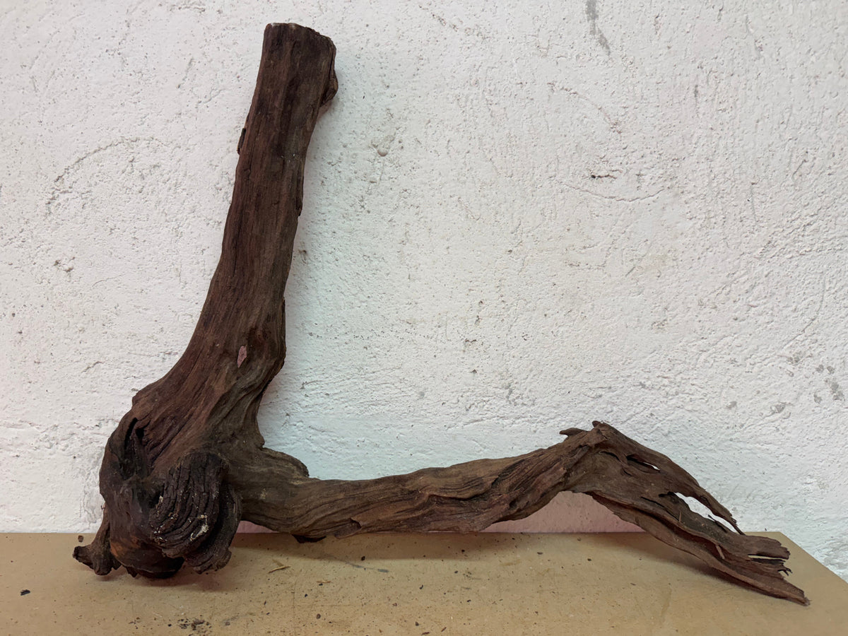 Drift Wood - 52*13*39 - cod.139 WHIMAR
