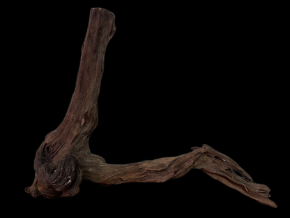 Drift Wood - 52*13*39 - cod.139 WHIMAR