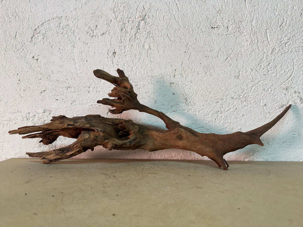 Drift Wood - 62*10*19 - cod.140 WHIMAR