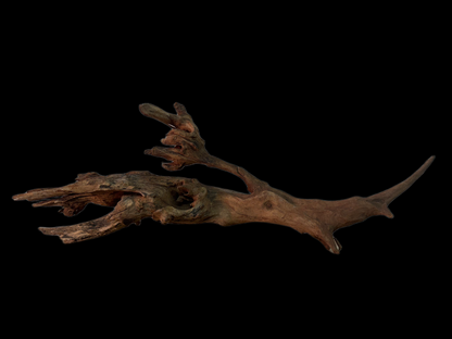 Drift Wood - 62*10*19 - cod.140 WHIMAR