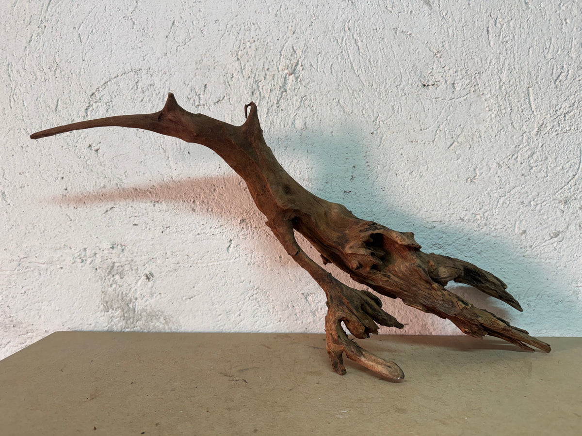 Drift Wood - 62*10*19 - cod.140 WHIMAR