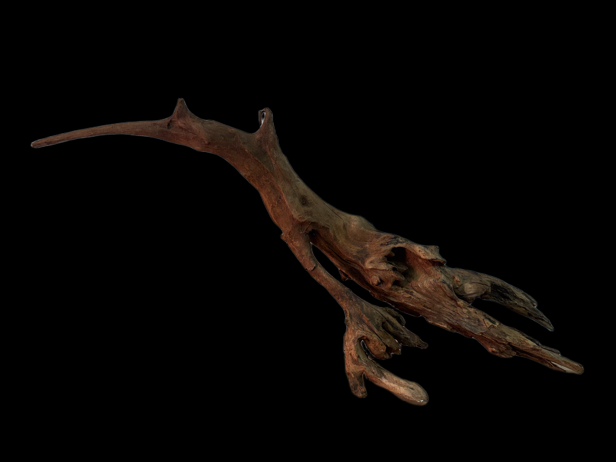 Drift Wood - 62*10*19 - cod.140 WHIMAR