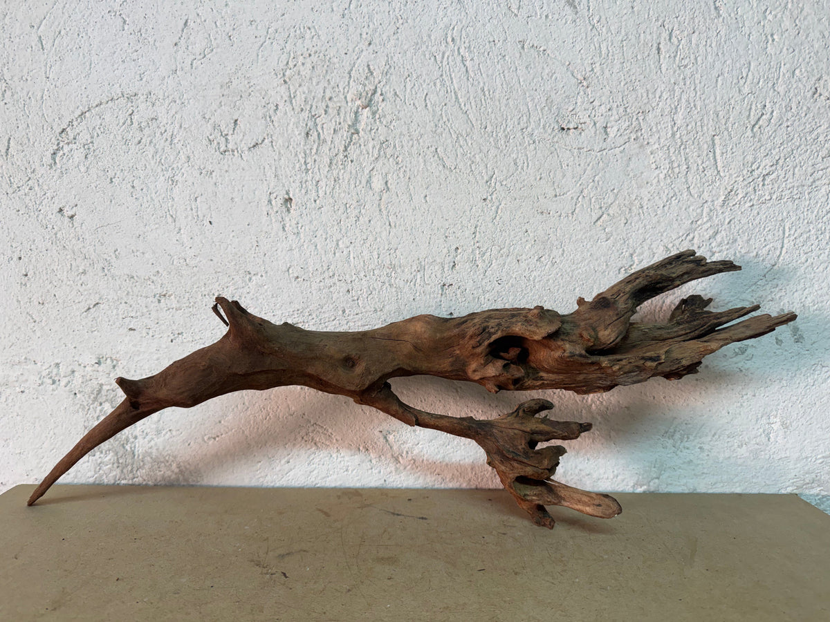 Drift Wood - 62*10*19 - cod.140 WHIMAR