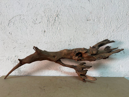 Drift Wood - 62*10*19 - cod.140 WHIMAR
