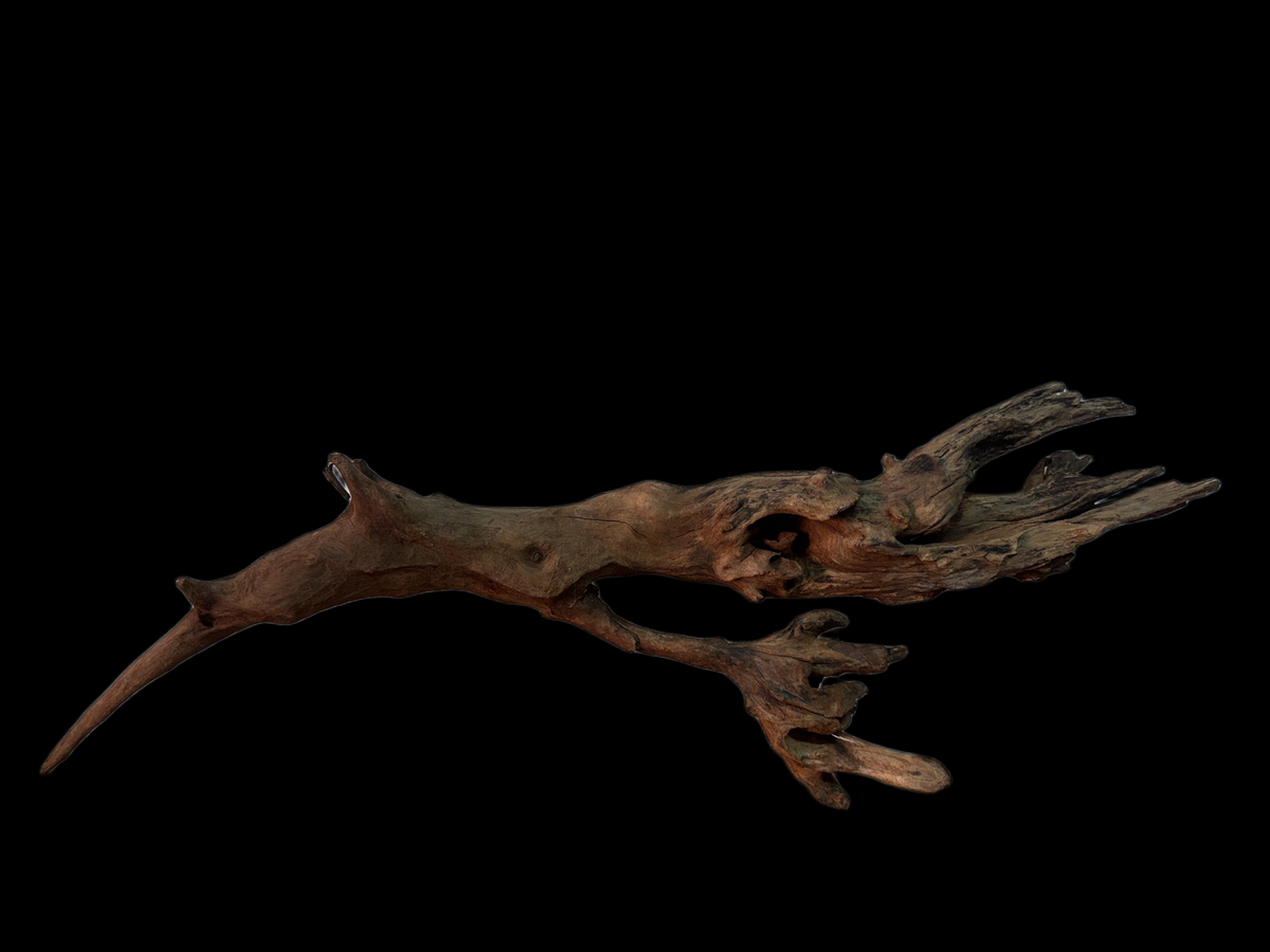 Drift Wood - 62*10*19 - cod.140 WHIMAR