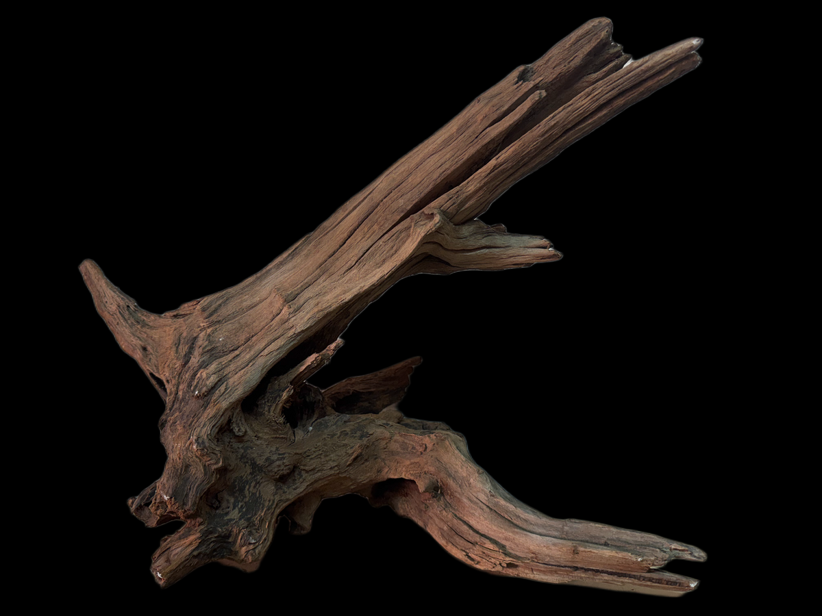 Drift Wood - 44*20*35 - cod.141 WHIMAR