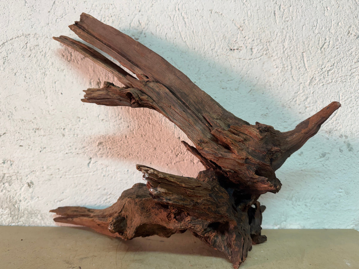 Drift Wood - 44*20*35 - cod.141 WHIMAR