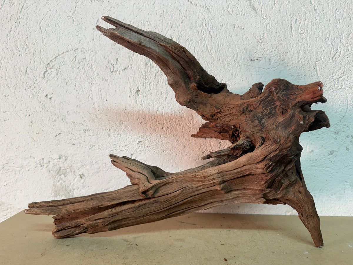 Drift Wood - 44*20*35 - cod.141 WHIMAR