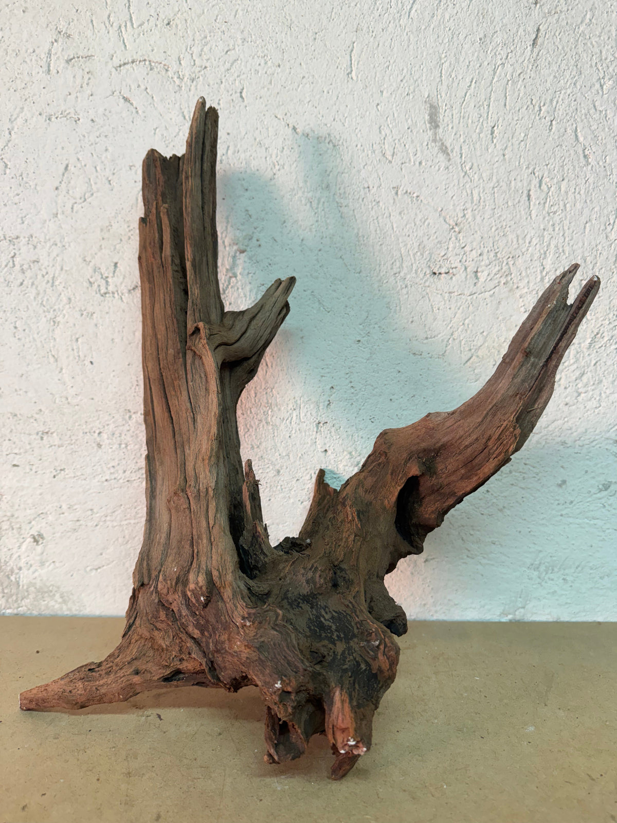 Drift Wood - 44*20*35 - cod.141 WHIMAR