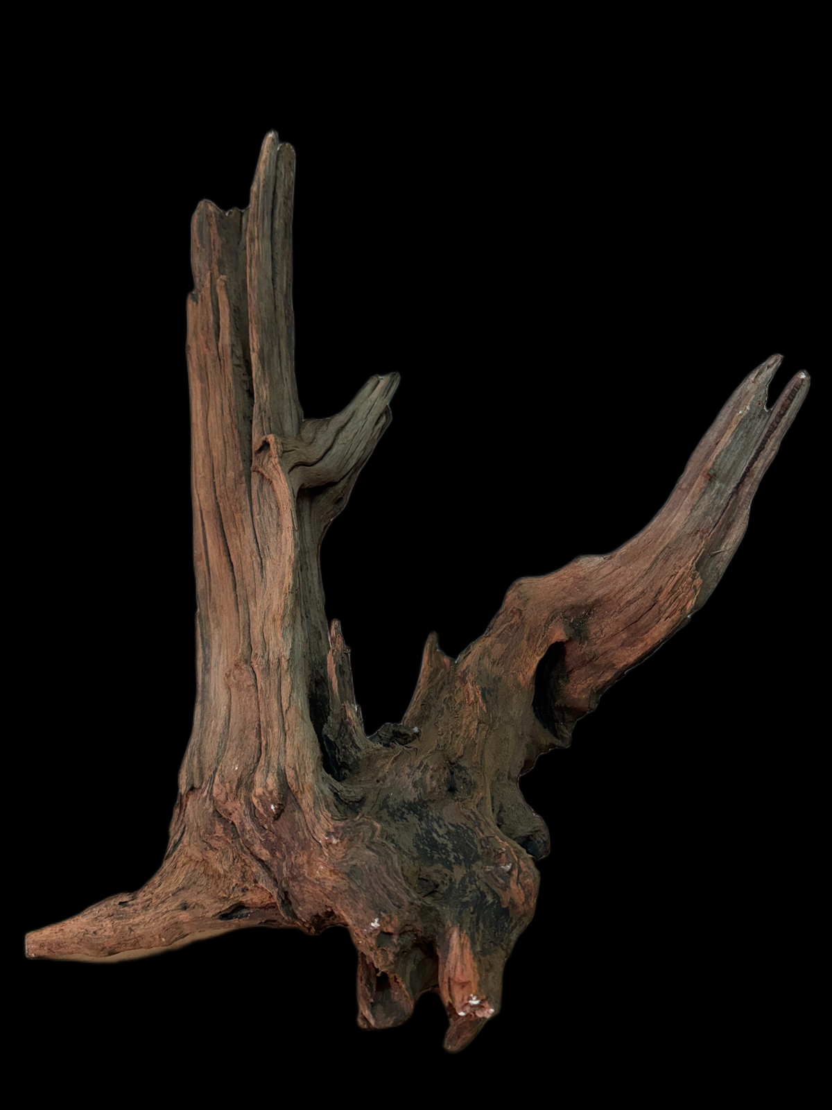 Drift Wood - 44*20*35 - cod.141 WHIMAR