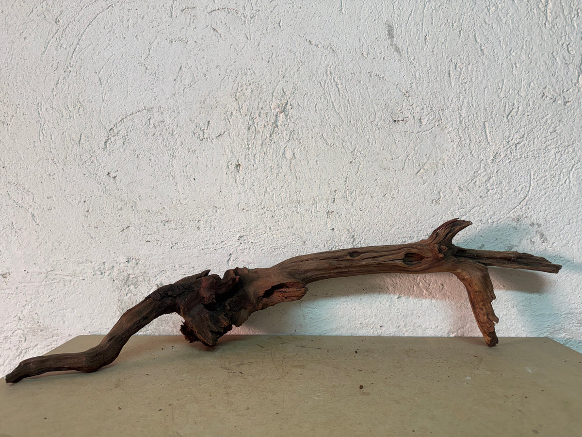 Drift Wood - 67*20*19 - cod.142 WHIMAR