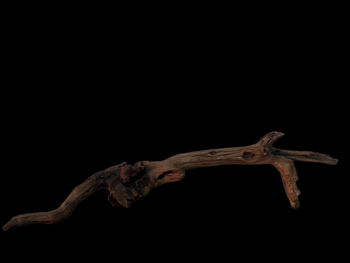 Drift Wood - 67*20*19 - cod.142 WHIMAR